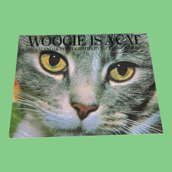 Vintage 1987 (Same as 2026!) Woogie is a Cat Wall Calendar 13" x 10" - Picture 1 of 4
